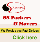 professional movers and packers Bhubneshwar